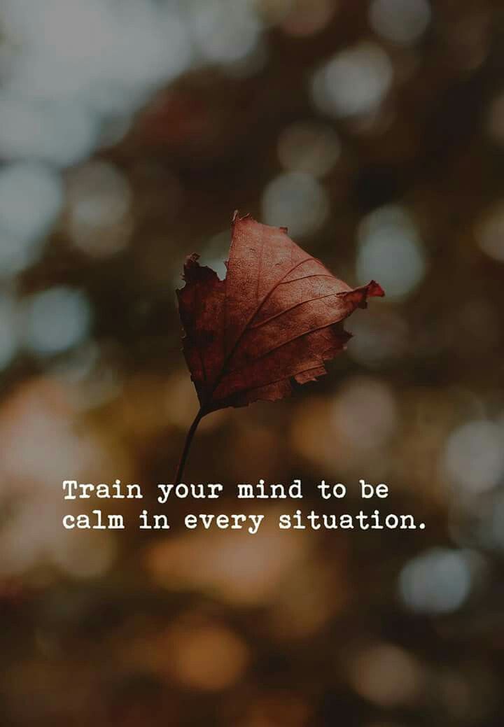 a leaf with the words, train your mind to be calm in every situation