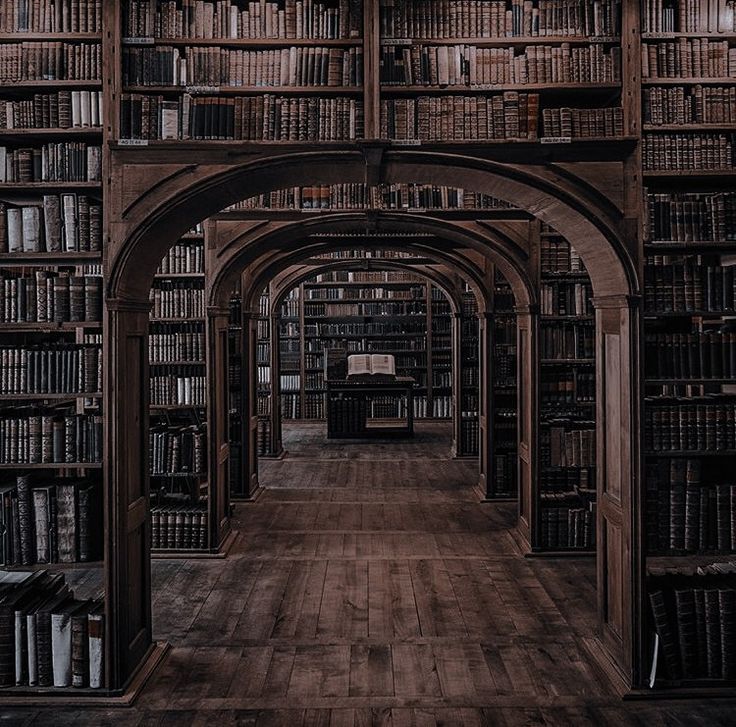 an old library filled with lots of books on wooden shelves and arched doorways that lead to the second floor