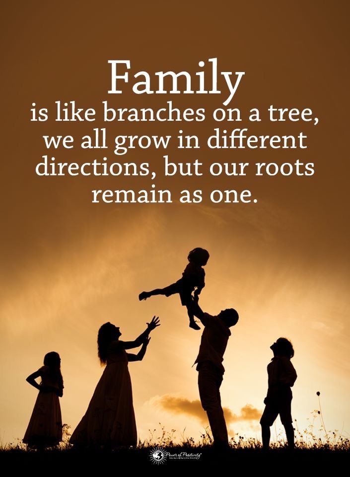 family is like branches on a tree we all grow in different directions, but our roots remain as one