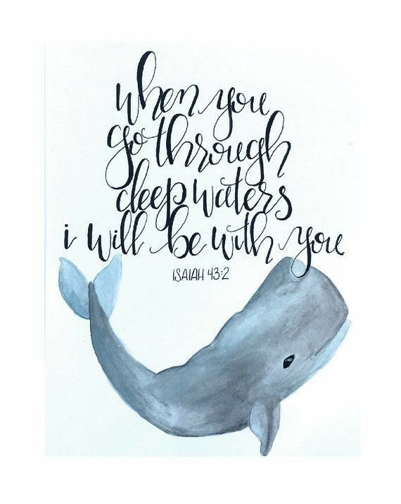 a watercolor drawing of a whale with bible verse