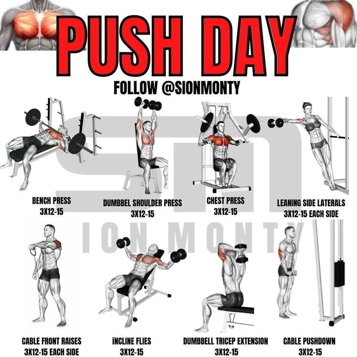 Push Pull Legs Workout, Push Day Workout, Pull Day Workout, Push Pull Legs, Push Workout, Workout Program Gym, Work Out Routines Gym, Push Day, Workout Splits