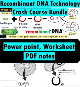 the power point, worksheet and pdf notes