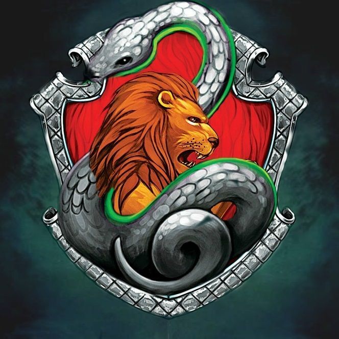 an image of a dragon and lion on a shield with two snakes around the crest