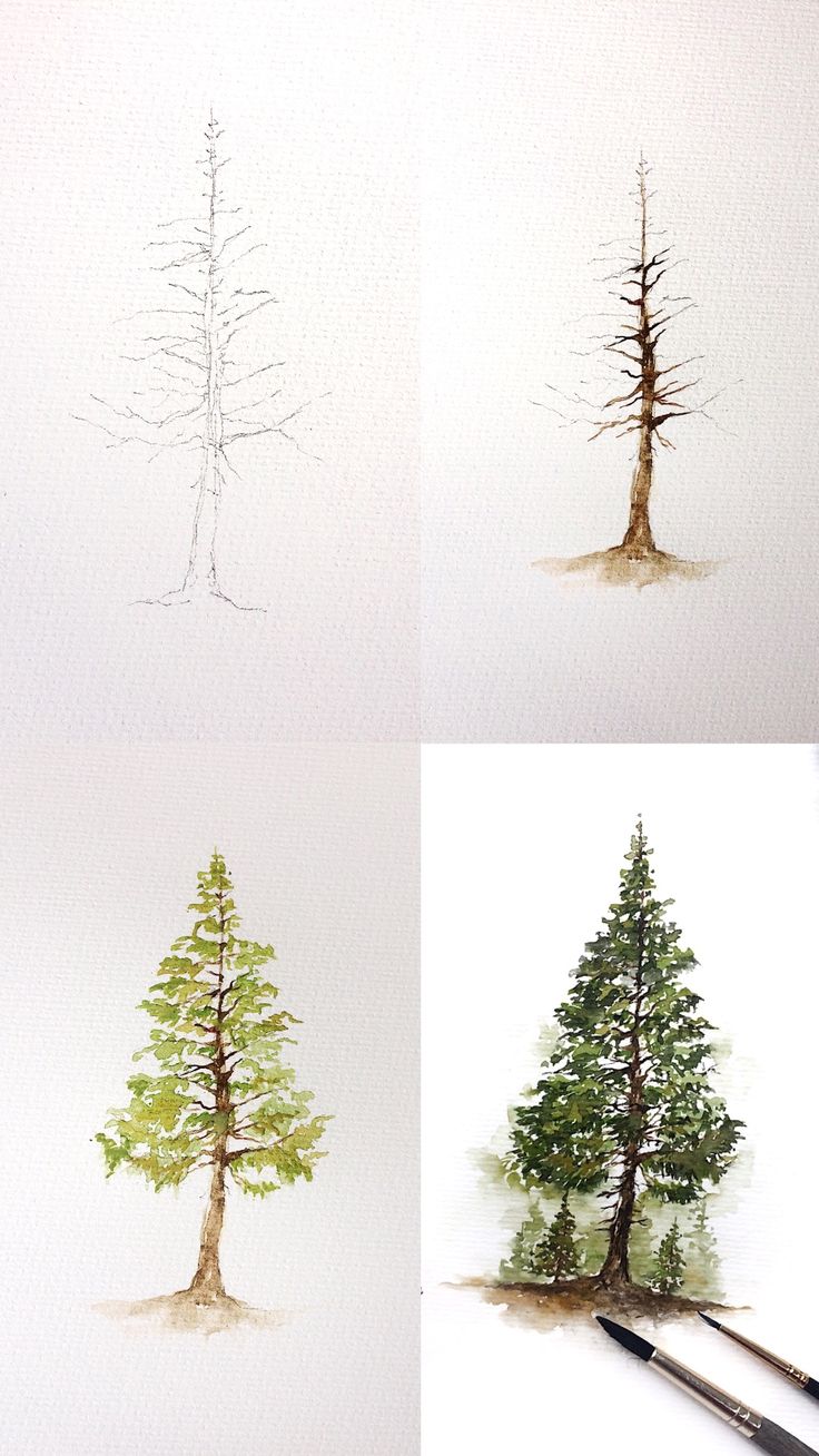 four different types of trees painted with watercolors