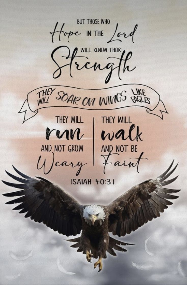 They Will Soar On Wings Like Eagles, Rise Up On Wings Like Eagles, Soar Like Eagles Bible Verse, Soar On Wings Like Eagles Verse, Eagle Quotes Strength, Isaiah 40 31 Wallpaper, Eagle Bible Verse, On Eagles Wings, Eagles Quotes