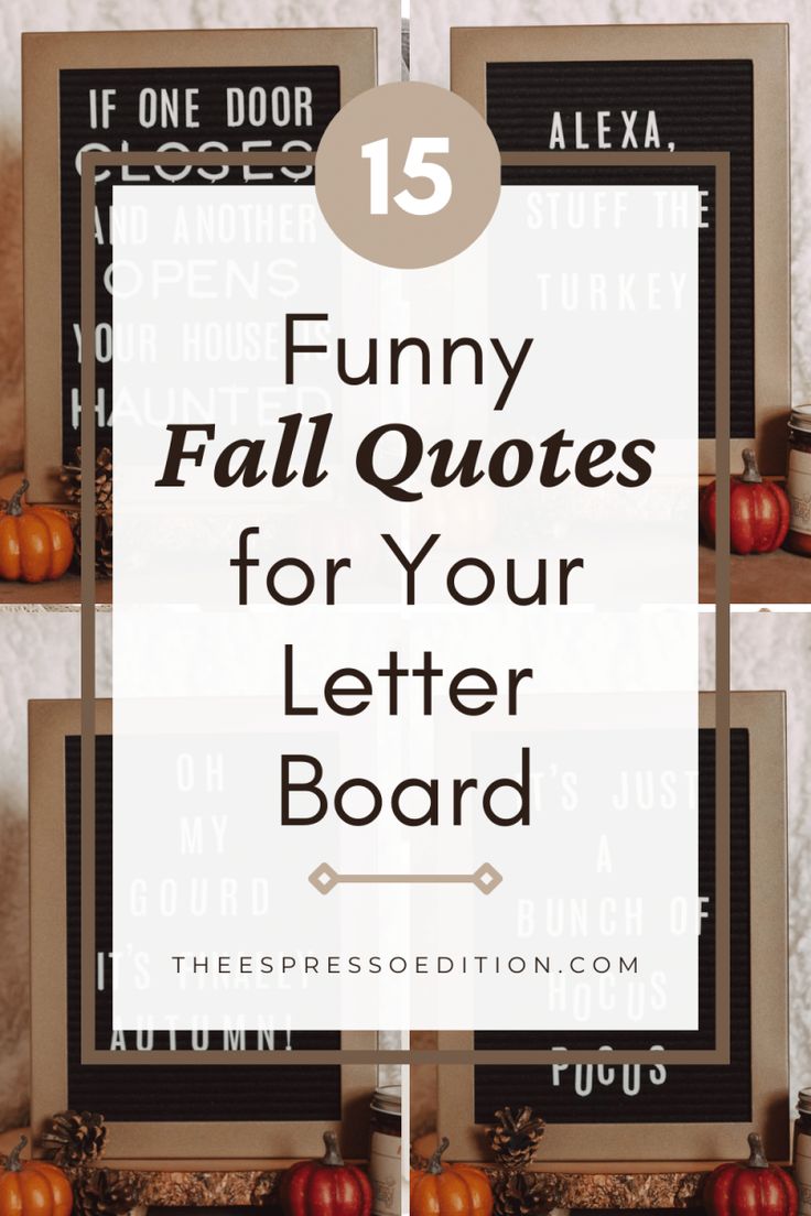 the words funny fall quotes for your letter board are shown above an image of pumpkins and