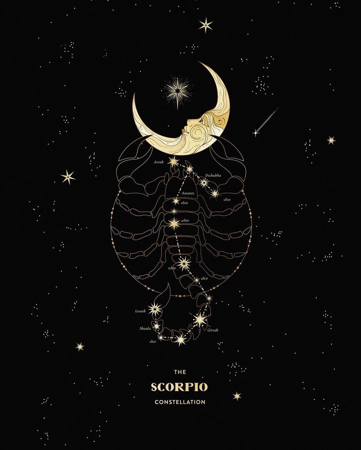 the scorpio constellation is depicted on a black background, with stars in the sky