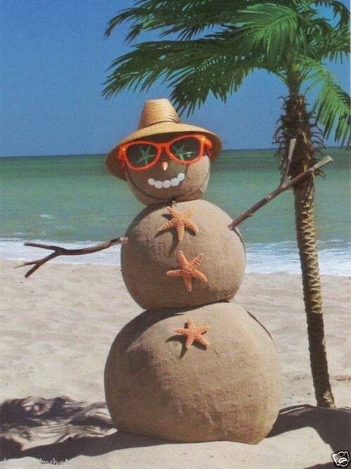 a snowman wearing sunglasses and a hat on the beach with starfish in his eyes