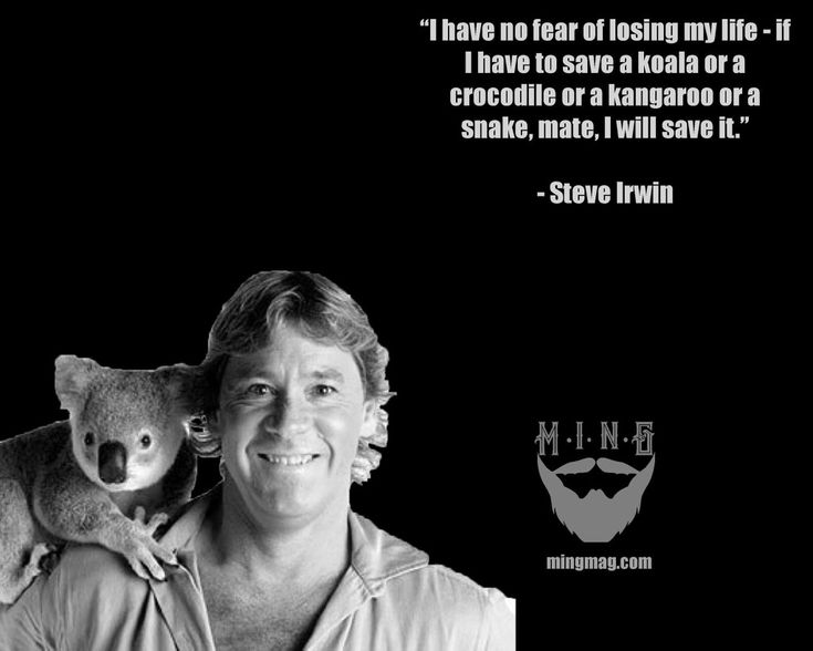 a man holding a koala on his shoulder with a caption from steve irwin