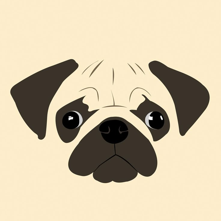 a pug dog's face is shown on a beige background