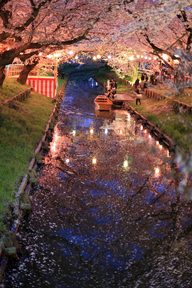 people are sitting on benches under cherry blossom trees in the park at night, with lights reflecting off the water