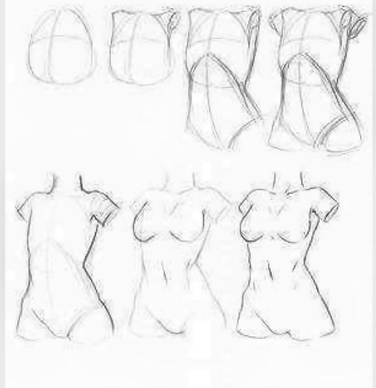 an image of different female body types drawn in pencil on the white paper with black ink