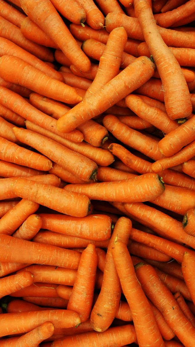 a pile of carrots sitting next to each other