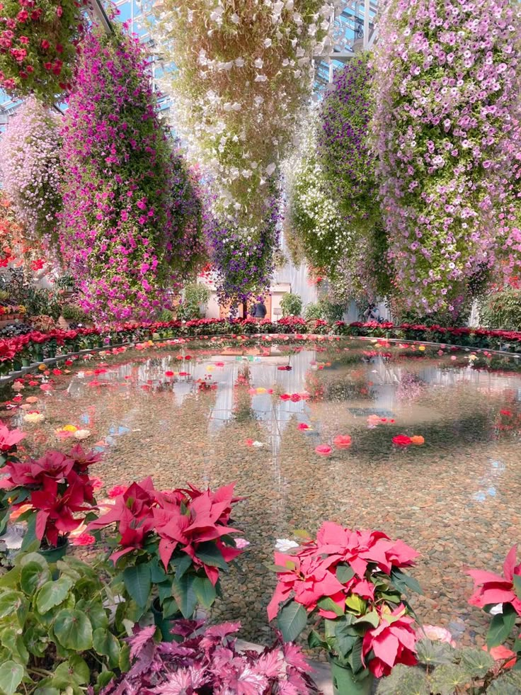 a pond filled with lots of pink and red flowers next to tall buildings covered in greenery