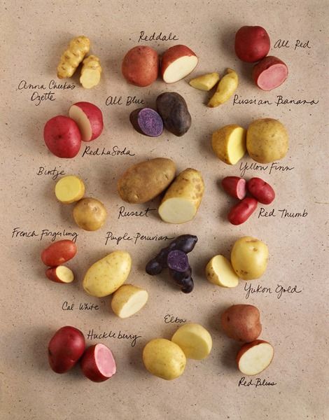 a bunch of different types of potatoes on a sheet of paper with the names of them