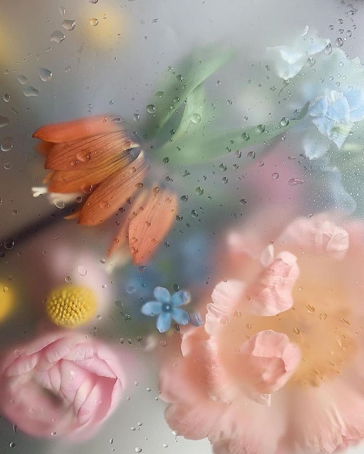 flowers are seen through the raindrops on a glass surface with water droplets around them