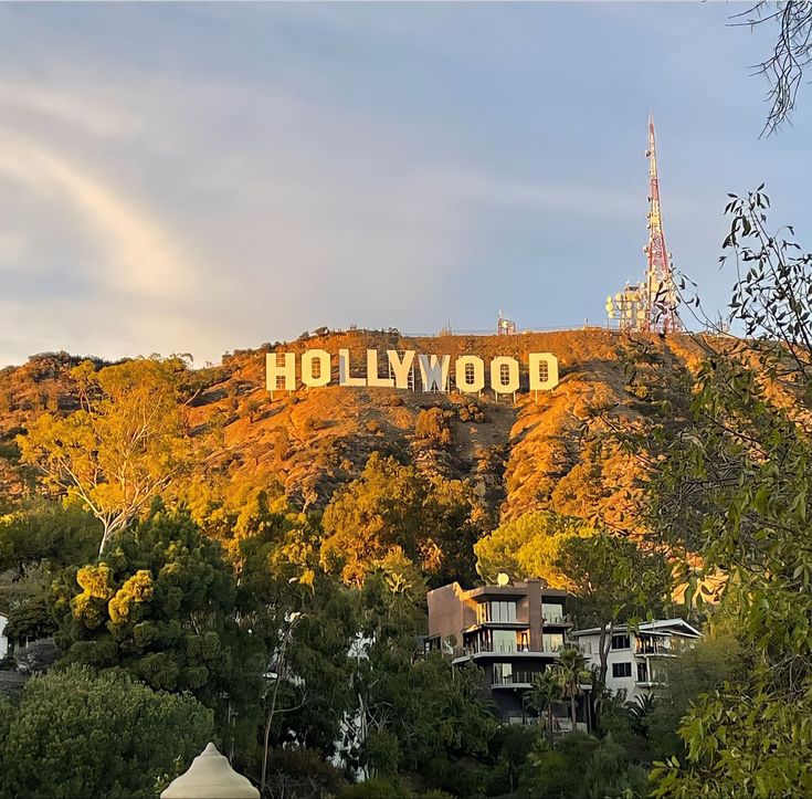 the hollywood sign is surrounded by trees and buildings