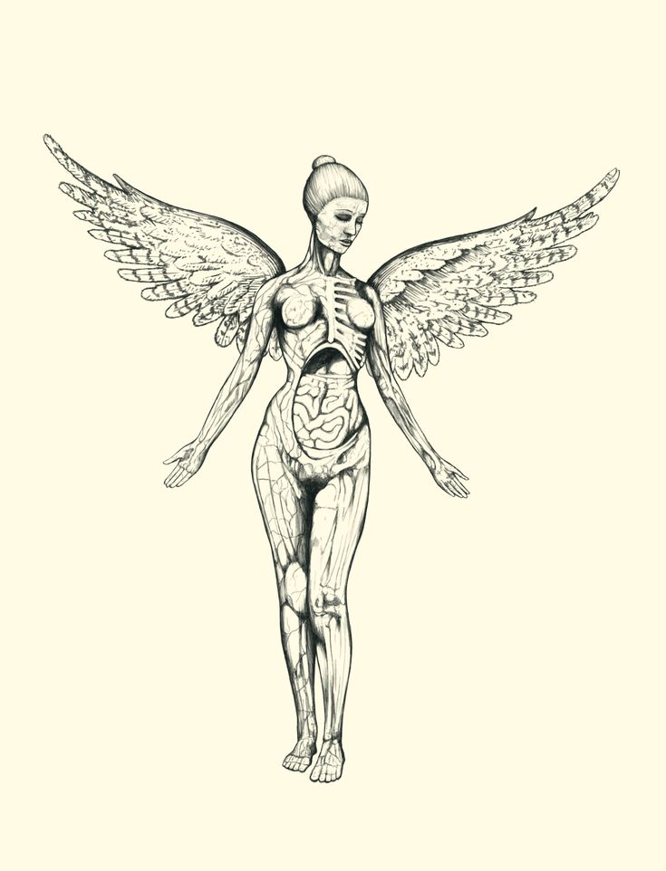 an ink drawing of a woman with wings on her body and chest, standing in front of