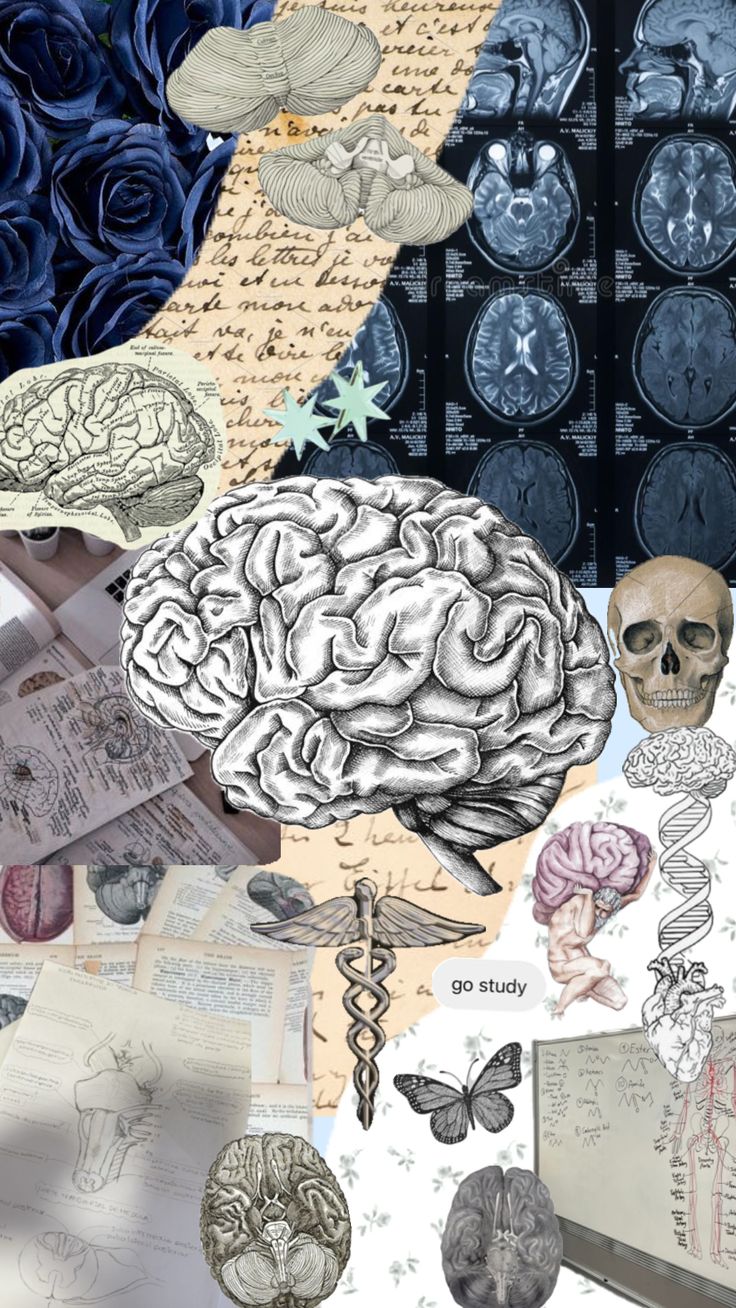 a collage of brain images and papers