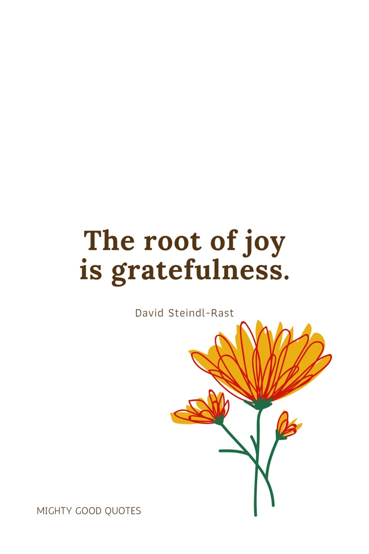 the root of joy is gratefulness david stenedl - east quote on flowers