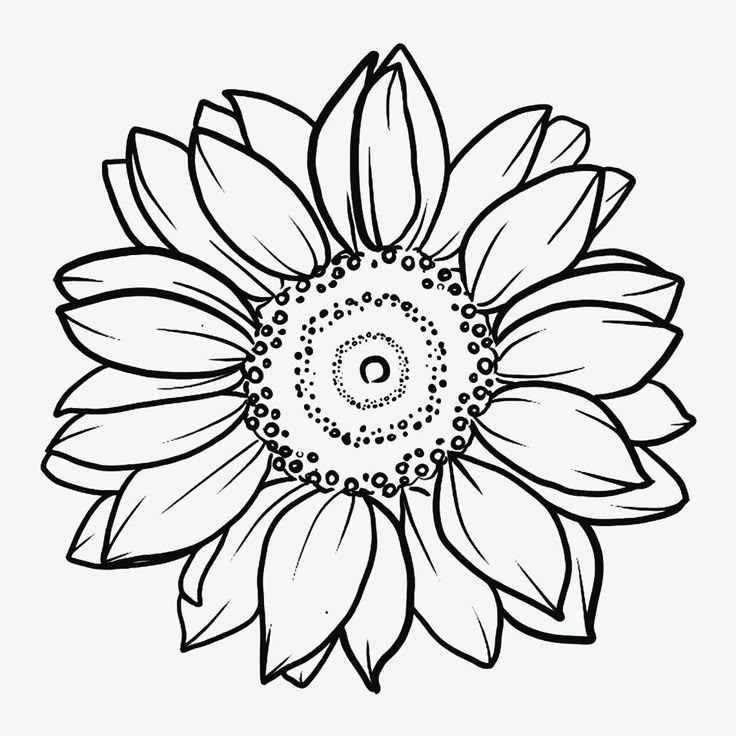 a black and white drawing of a sunflower with the letter o on it's center