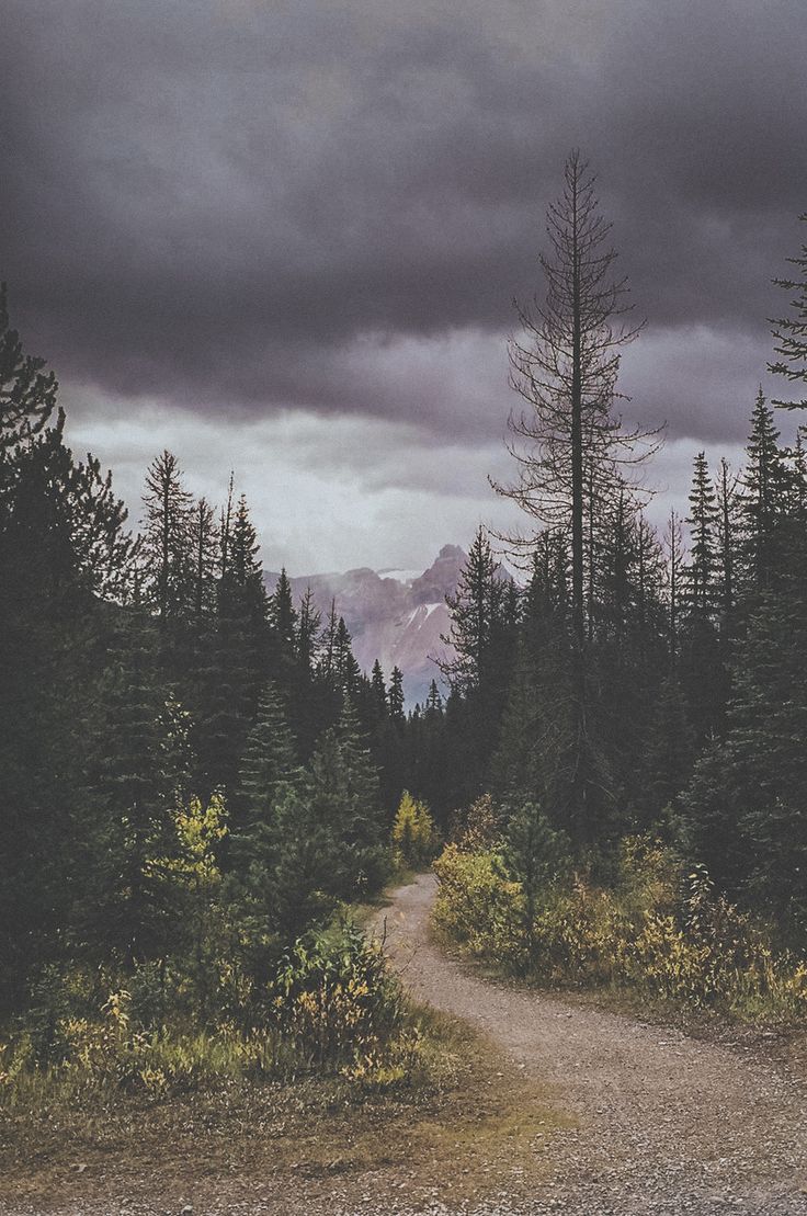 a dirt road in the middle of a forest with mountains in the distance and dark clouds overhead