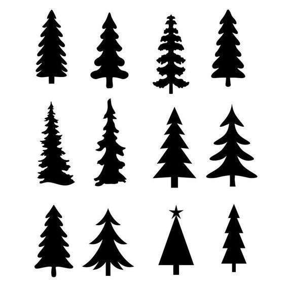 black and white silhouettes of pine trees