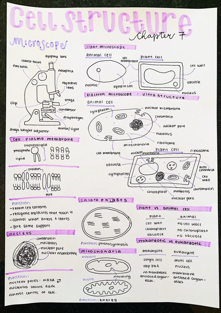 a poster with instructions on how to use cell phones and other electronic devices in the classroom