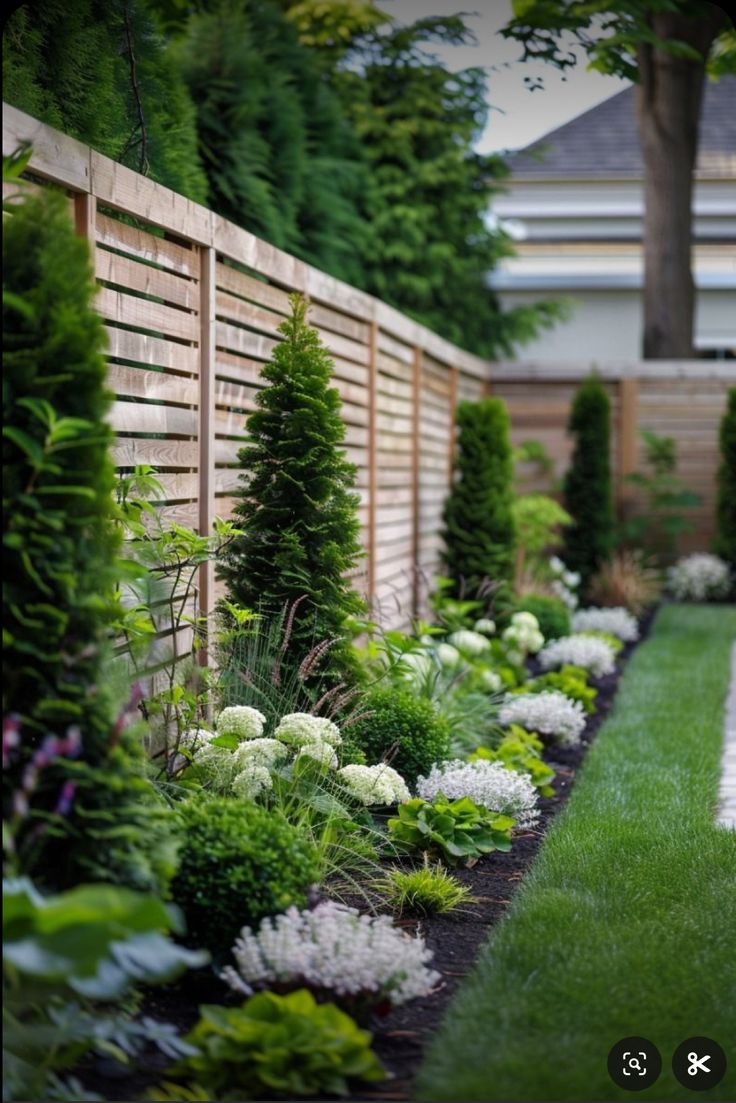 a garden with green grass, white flowers and trees next to a wooden privacy fence