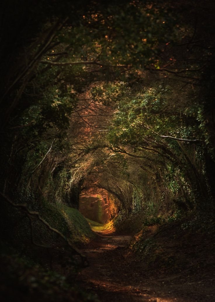 an image of a path that is surrounded by trees and bushes with the words rustic wedding ideas 45 breathing ideas for your big day