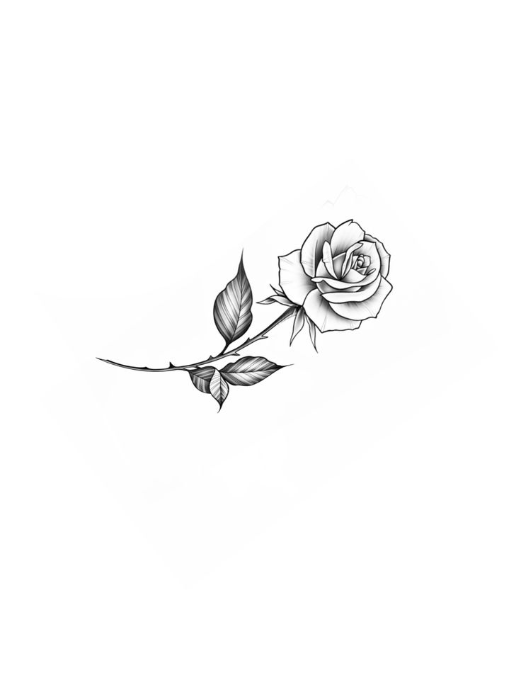 a black and white drawing of a rose