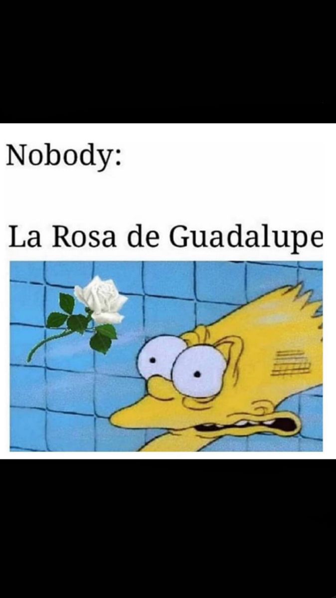 an image of a cartoon character holding a rose in his hand with the caption nobody la rosa de guadalupe