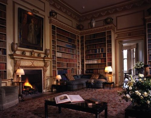 a living room filled with lots of furniture and bookshelves next to a fire place