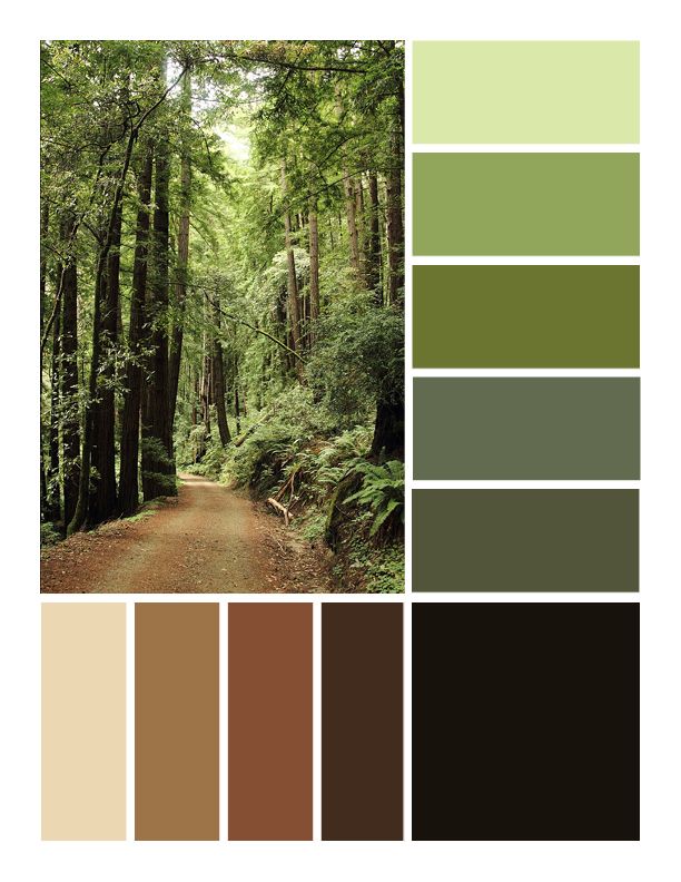 the color palette is green, brown and white with lots of trees on each side