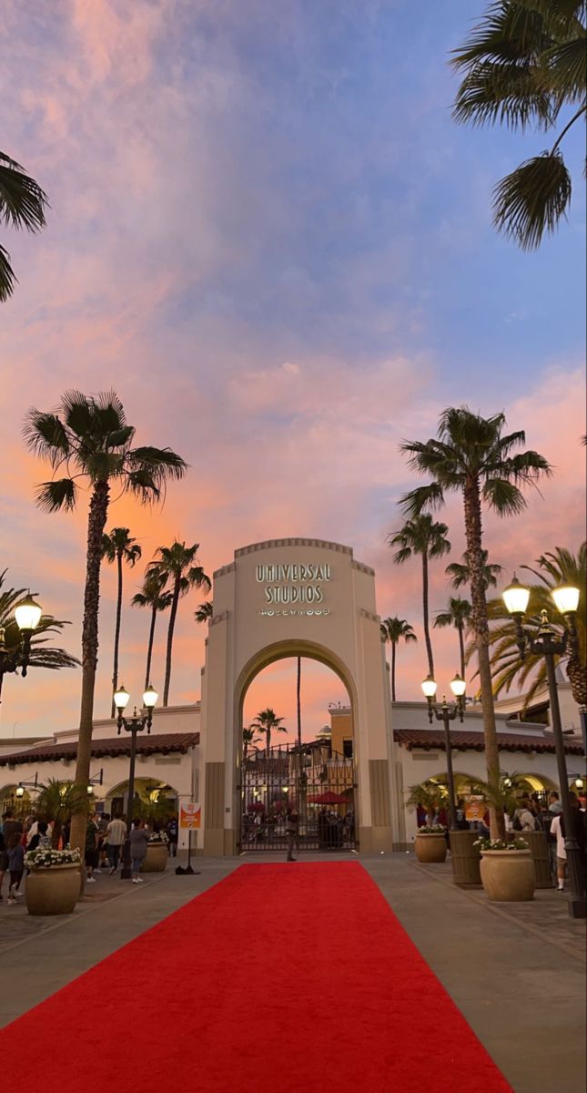 a red carpet is on the ground in front of a building with palm trees and lights