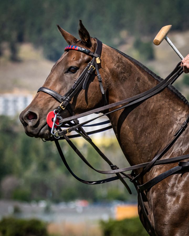 a man riding on the back of a brown horse next to a lush green hillside