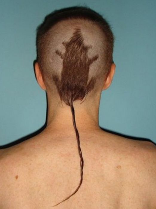 Epic haircut fails Rat Tail Haircut, Haircut Fails, Bad Haircut, Rat Tail, Corte De Cabelo Masculino, Hair Photo, Crazy Hair, Bad Hair Day, Hair Humor