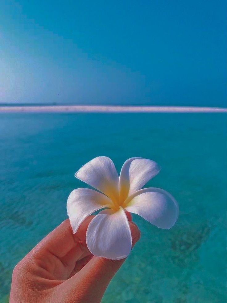 a person holding a flower in their hand over the ocean with clear blue water behind them