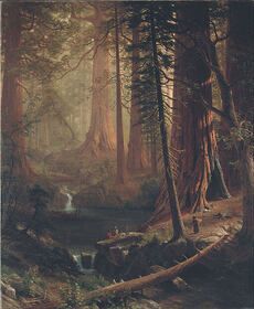 an image of a forest scene with people in the water and trees on the other side