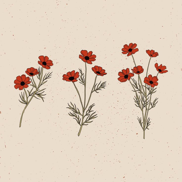 three red flowers on a beige background