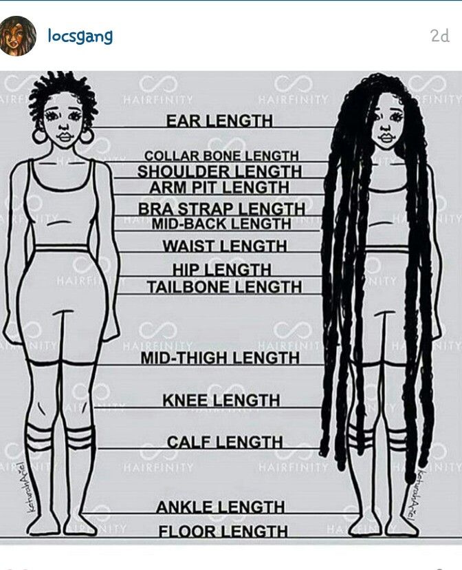 Loc length guide Tailbone Hair Length, Mid Length Twists, Tailbone Length Hair, Uncut Hair, Quotes Rainbow, Nubian Locs, Loc Care, Hair Fan, Long Locs