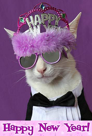 a cat wearing sunglasses and a tiara with the words happy new year written on it