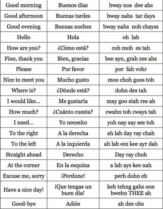 two different types of words in spanish with the same language and their corresponding meaningss