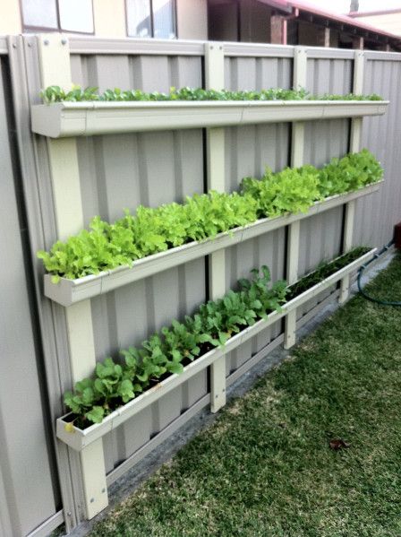 an outdoor herb garden with green plants growing on it's sides and attached to the side of a building