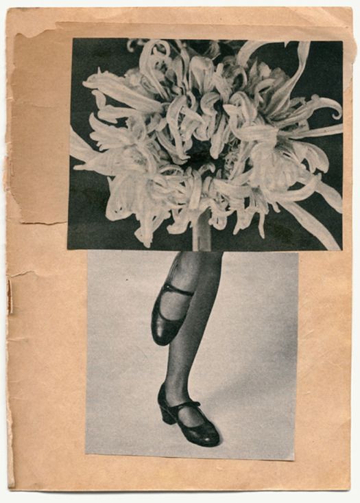 an old black and white photo of a woman's legs with flowers in them