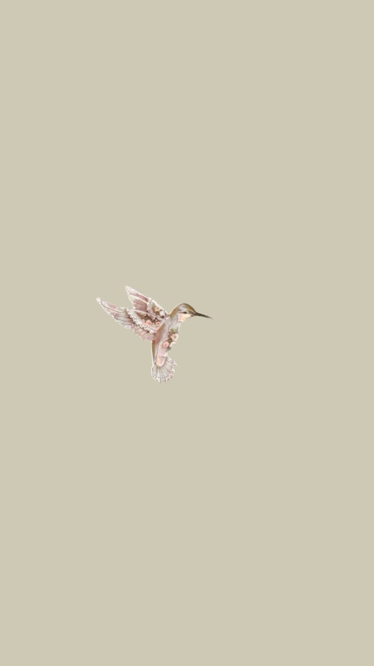 a small bird flying through the air