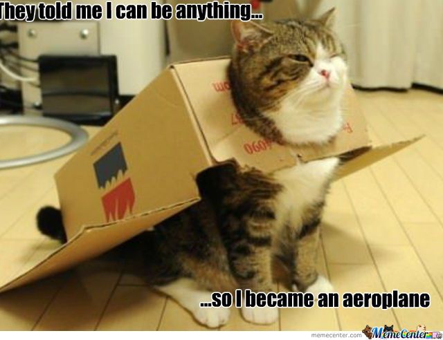 a cat sitting on the floor with a box on its head