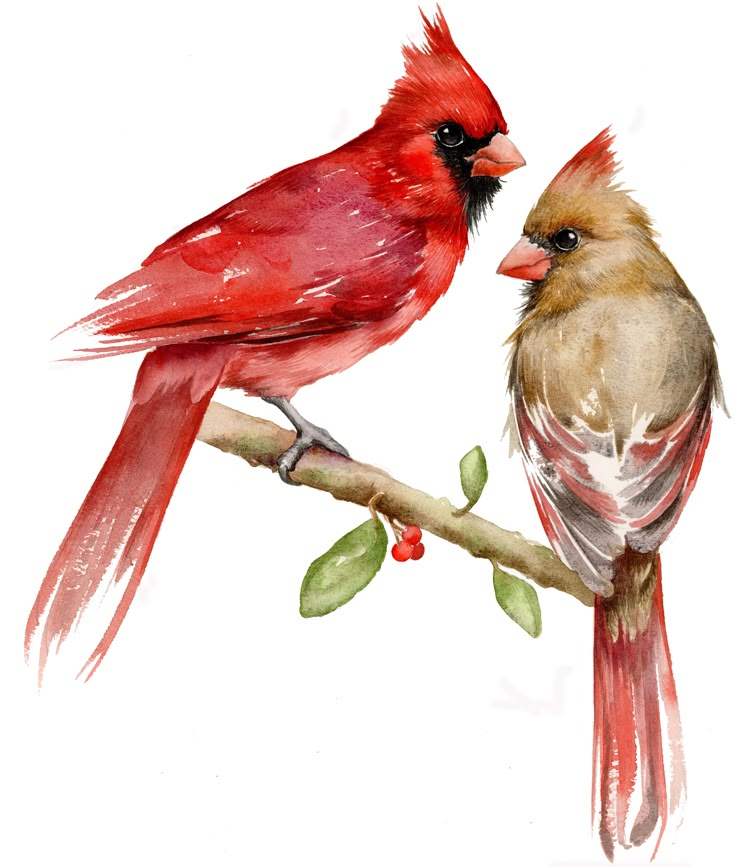 two red birds sitting on top of a tree branch next to each other with leaves