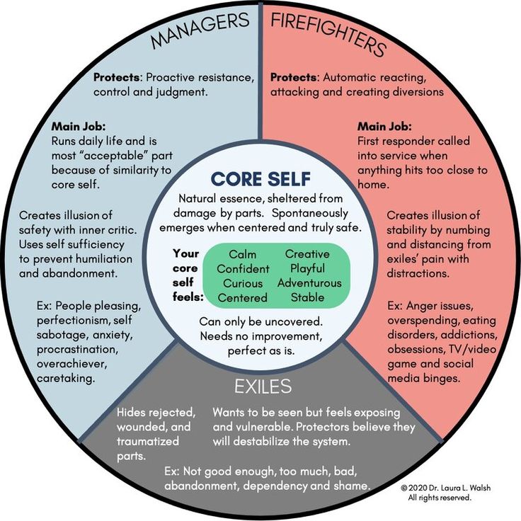 a circle diagram with the words core self in it