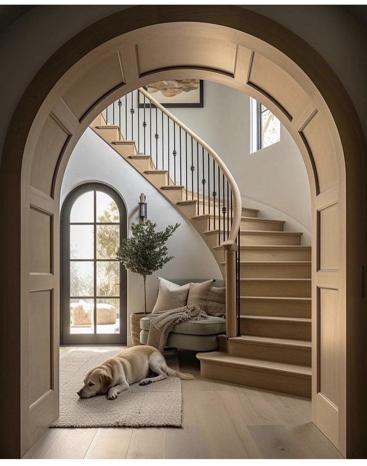 a dog laying on the floor in front of a stair case next to a couch